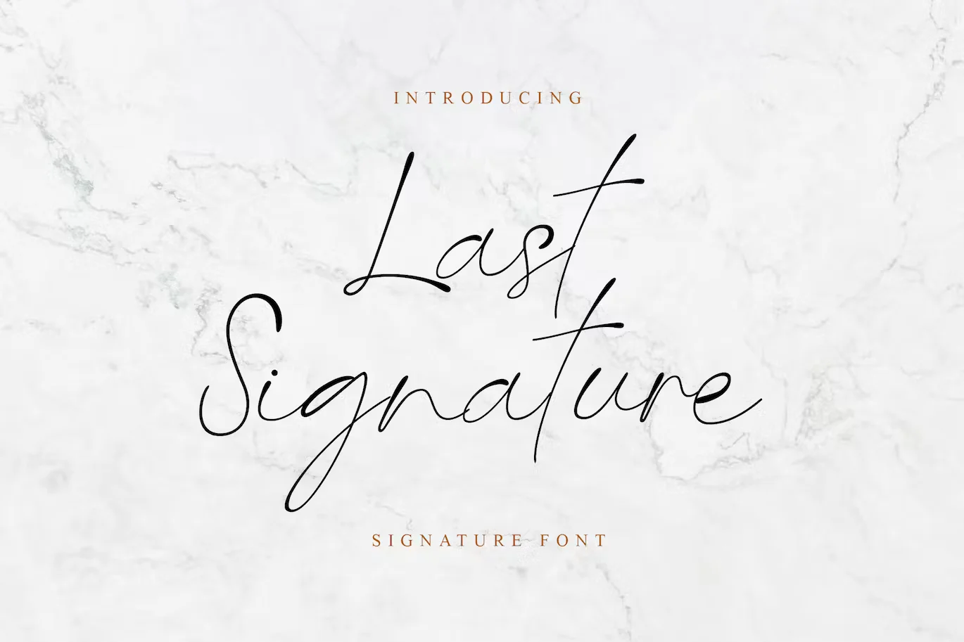 Last Signature Handwritten Font