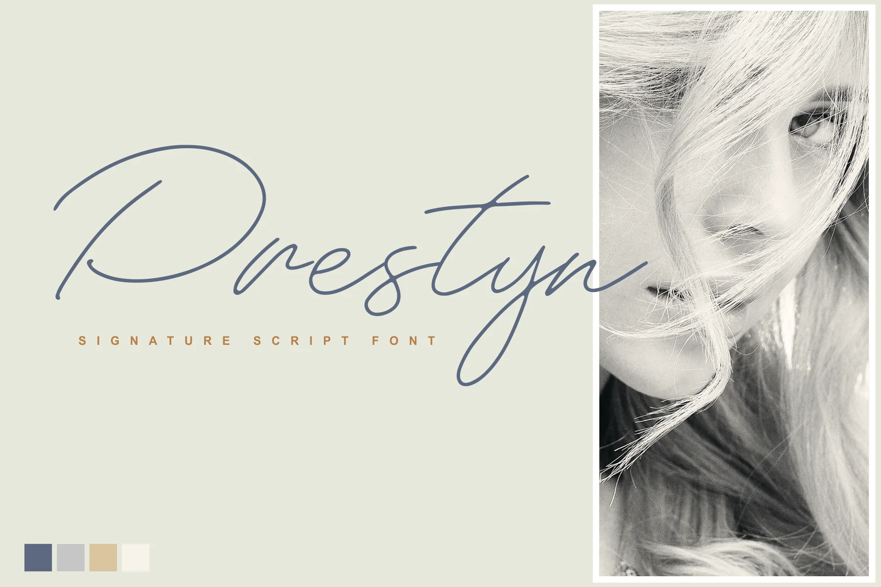 Prestyn - Monoline Script Font