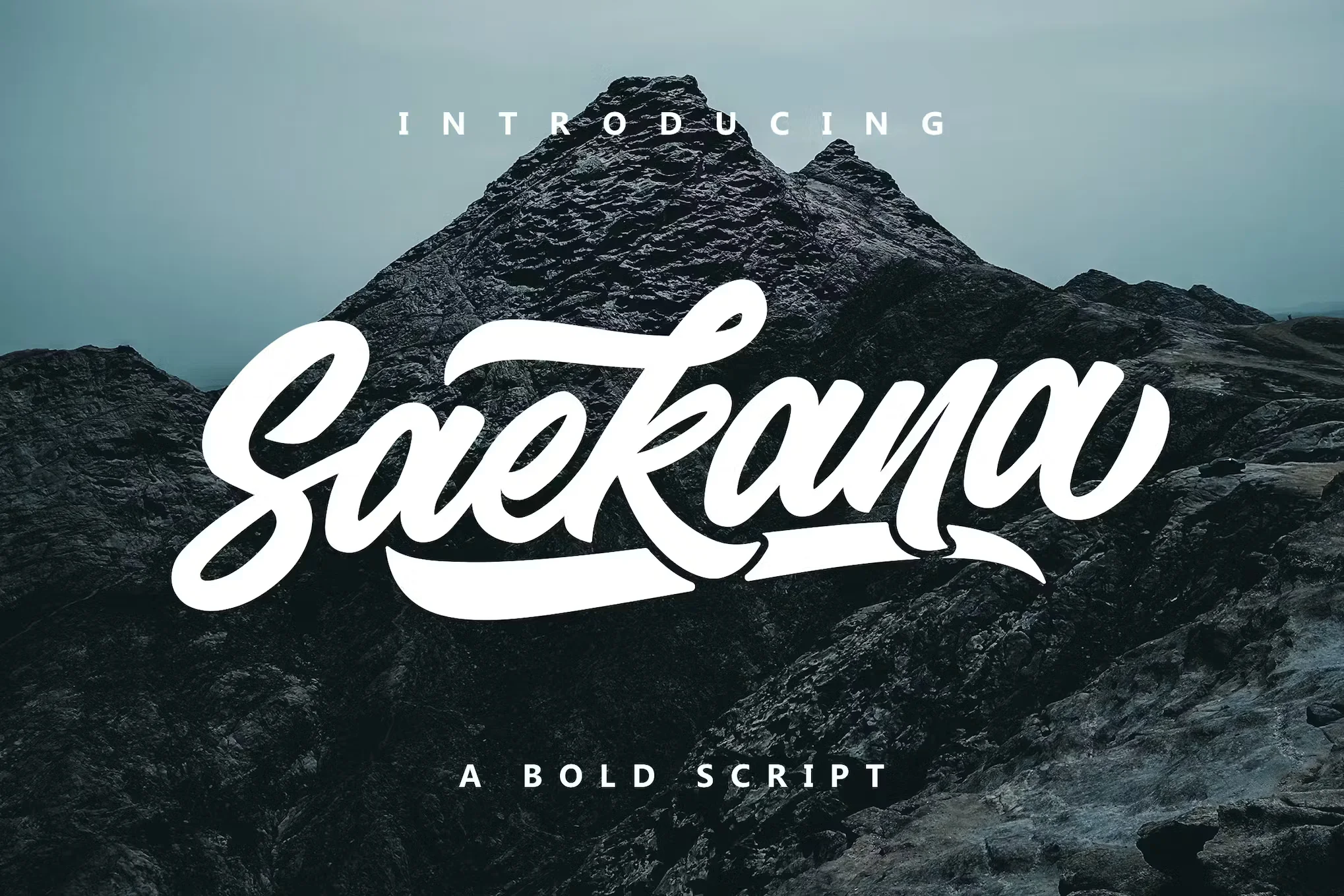 55+ Bold & Free Script Fonts 2023