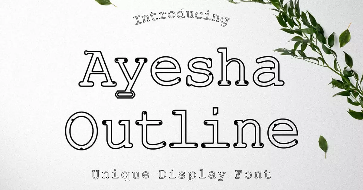 15+ Best Outline Fonts for Designers