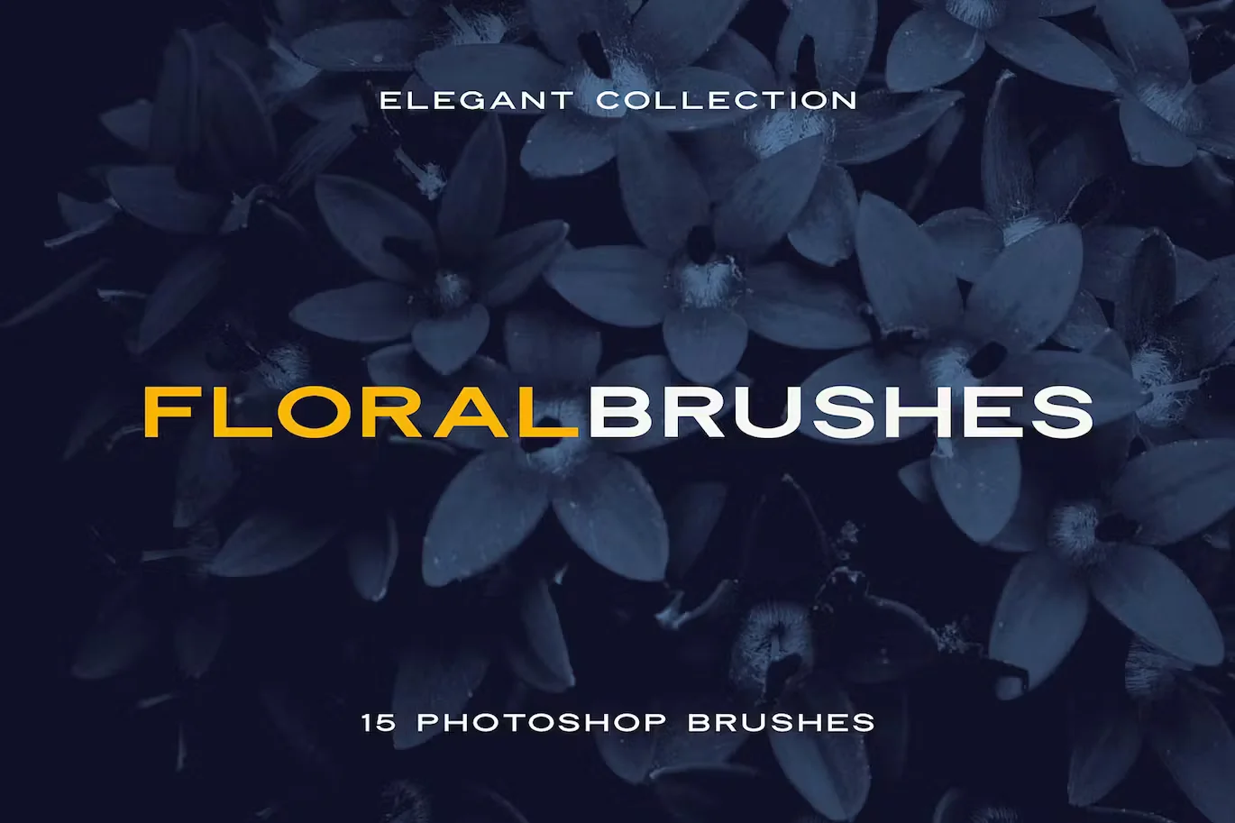 Elegant Floral Brushes for Photoshop