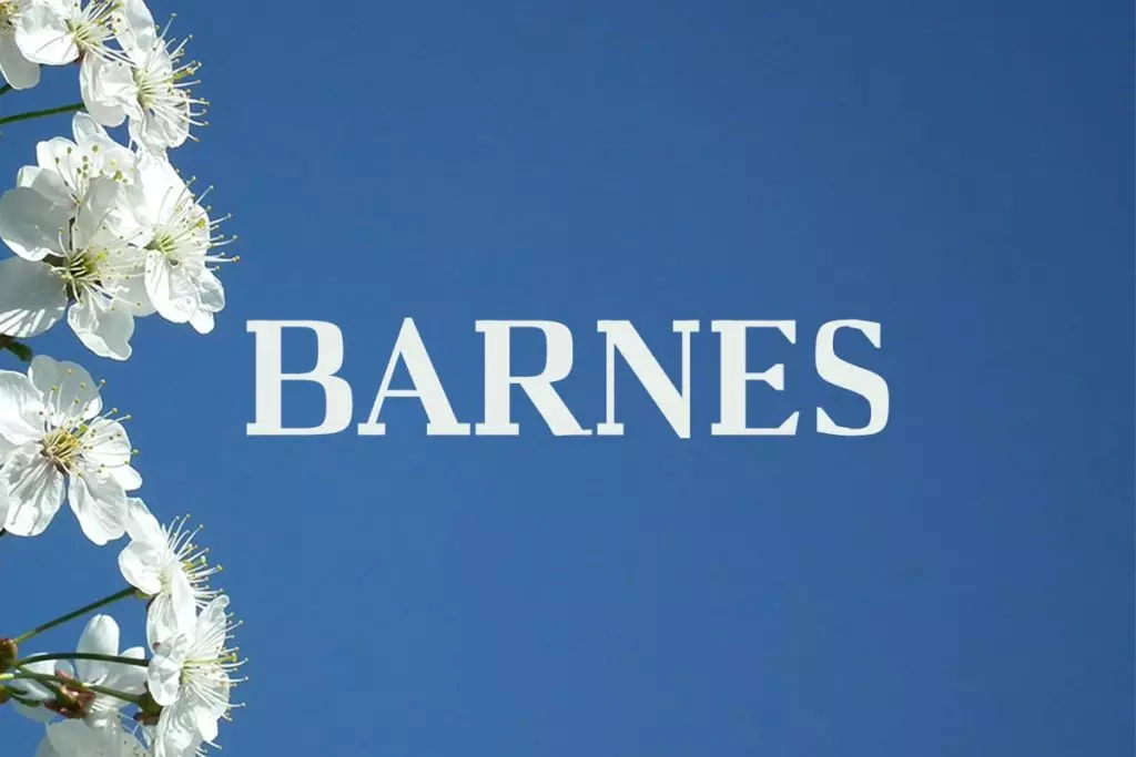 Barnes Serif Font