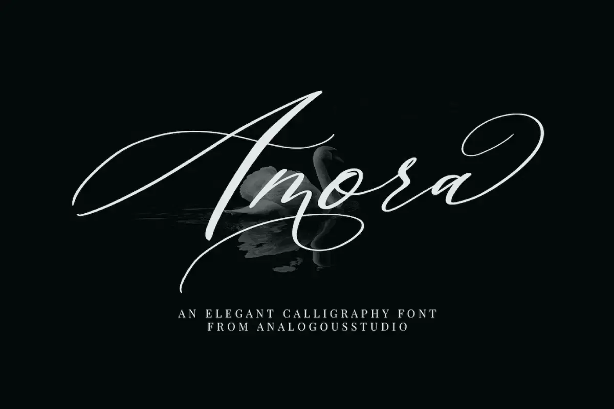 Amora Calligraphy Font
