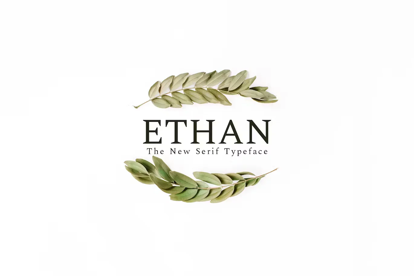 Ethan Serif Font Family
