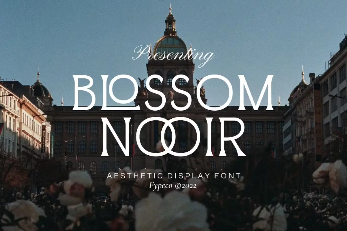 Blossom Noir -Aesthetic Display Font
