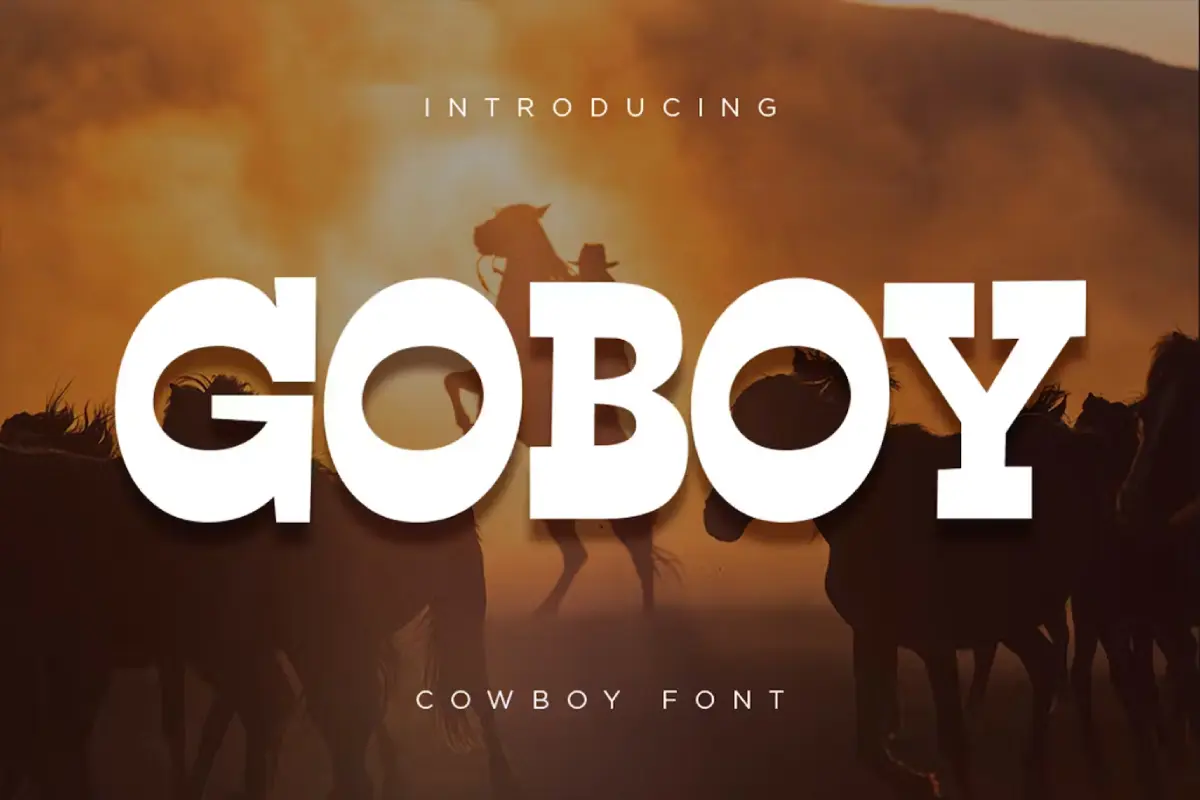 Go Boy - Cowboy Font
