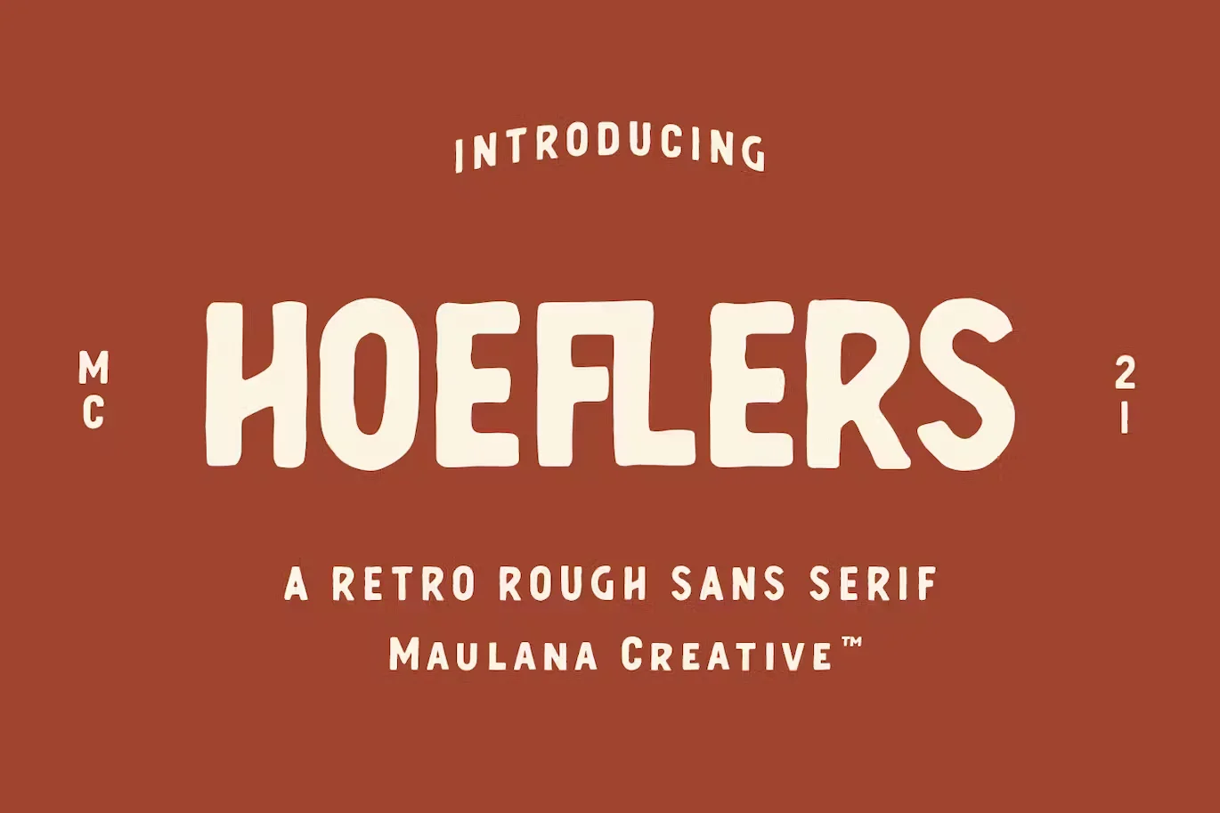Hoeflers Rough Sans Font