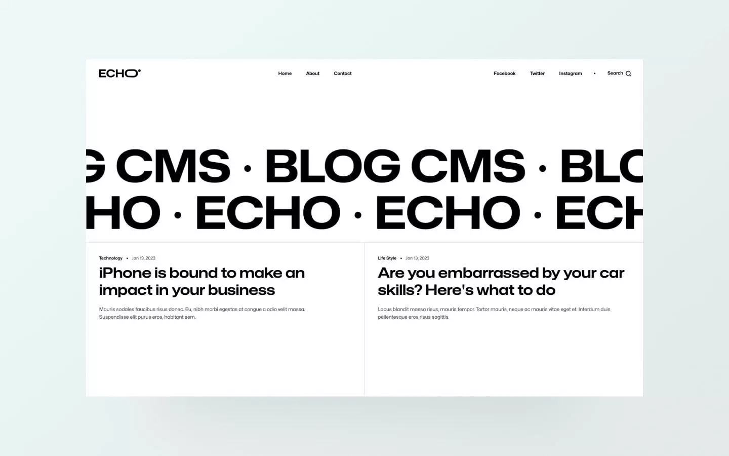 Echo - Blog Website Template