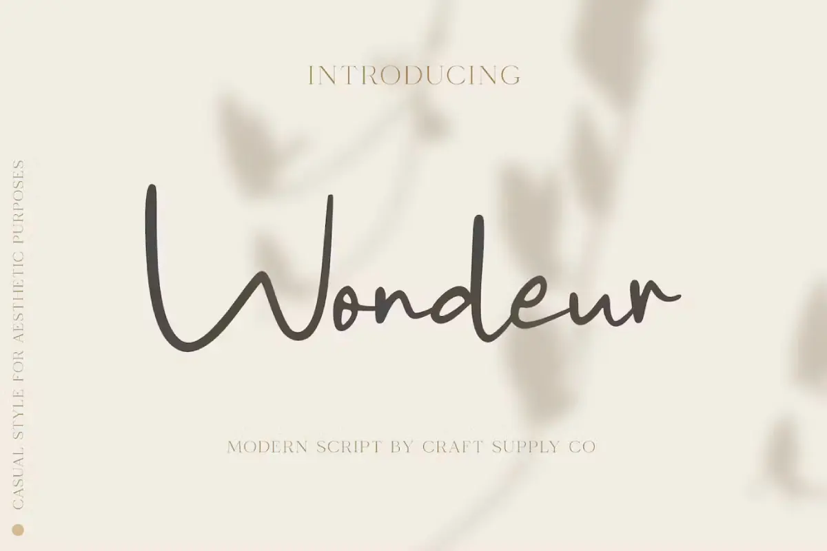 Wondeur - Modern Script Font
