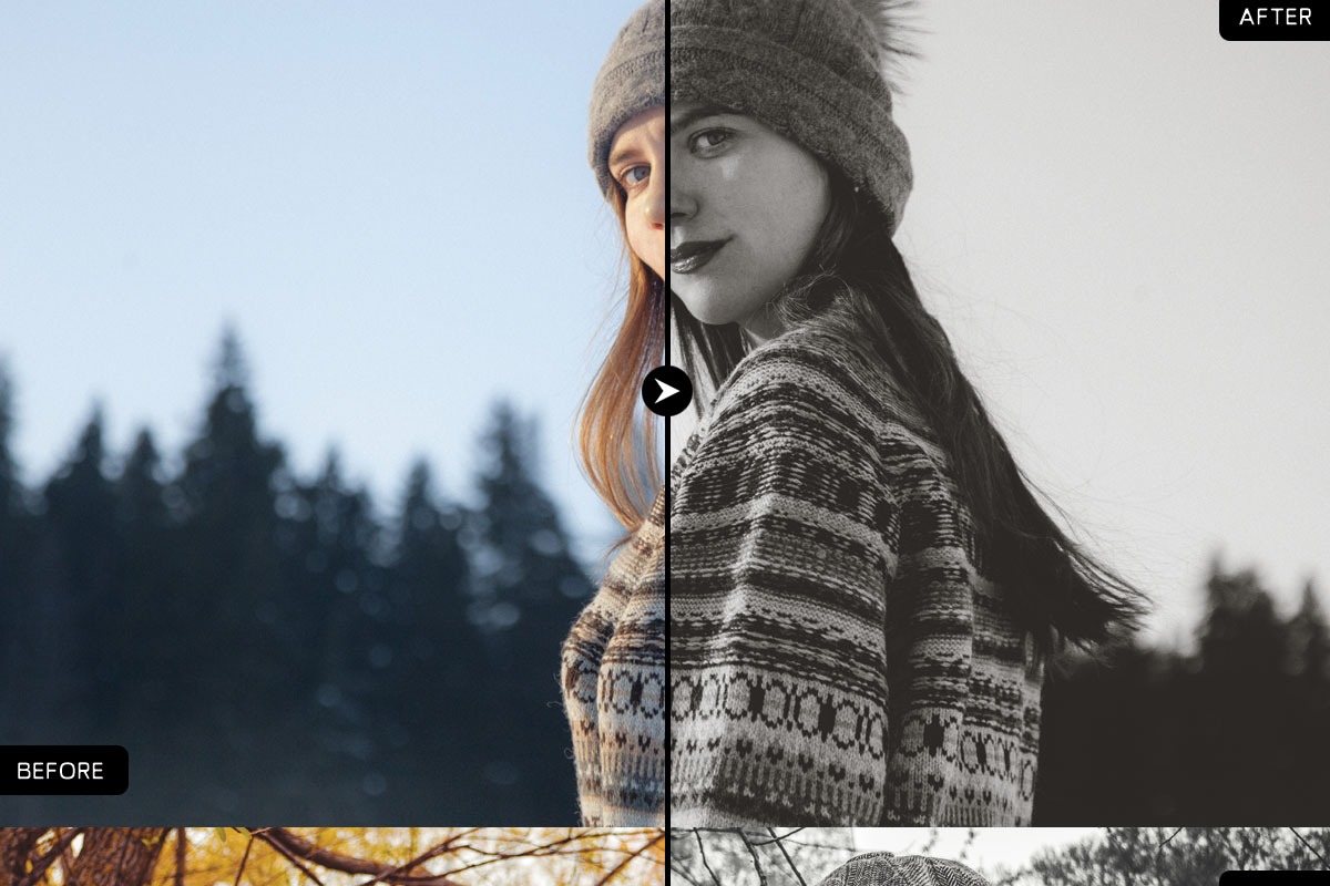 10 Black and White Lightroom Presets Preview 8