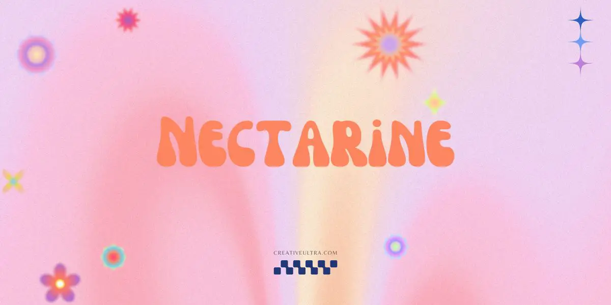 Illustration showing font "Nectarine Font" written on a background. It's one of Top Y2K Fonts in Canva.