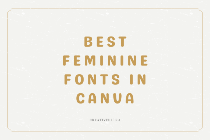 Best Feminine Fonts in Canva