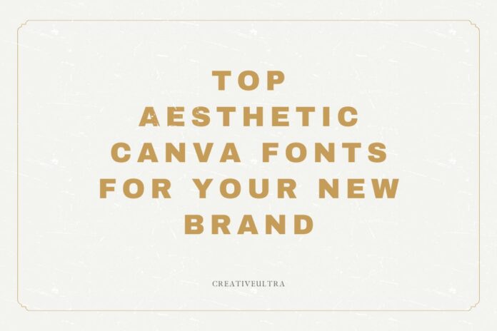 Top Aesthetic Canva Fonts for Your New Brand