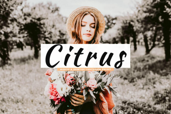 Citrus Lightroom Preset For Mobile & Desktop Cover