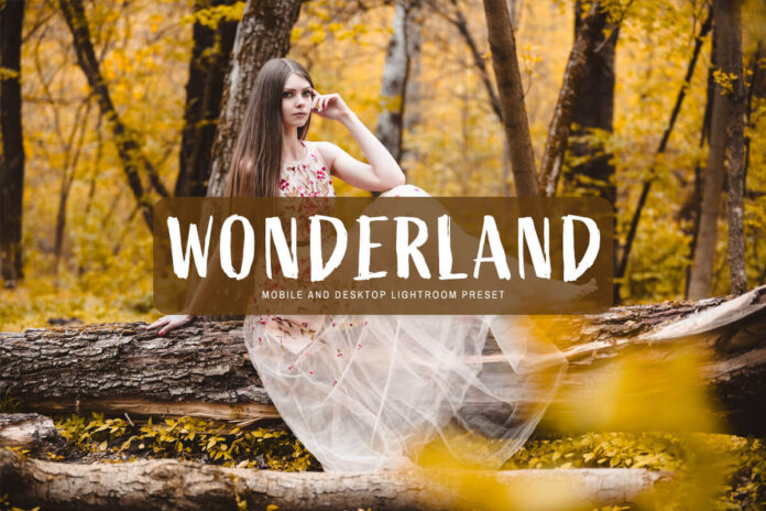 Wonderland Lightroom Preset For Desktop Download Cover