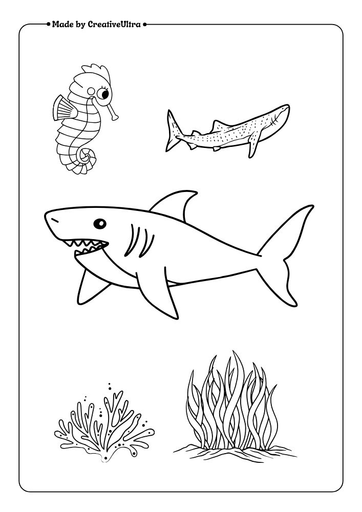 a coloring page of a shark