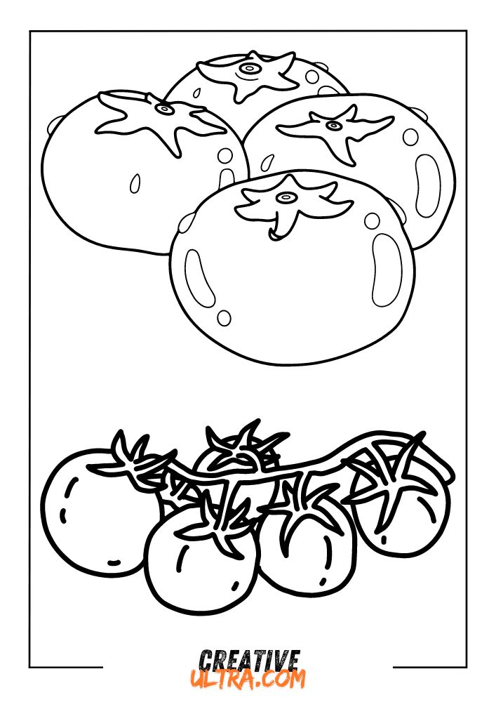 Black and white drawing of tomatoes, perfect as a tomato coloring page, features five bunched and five vine-ripened.
