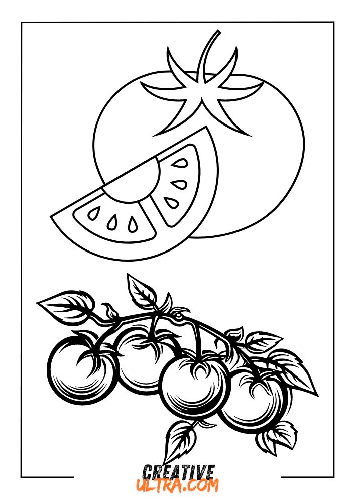 Line art of tomatoes and a tomato slice, with a tomato vine below, perfect for a tomato coloring page.