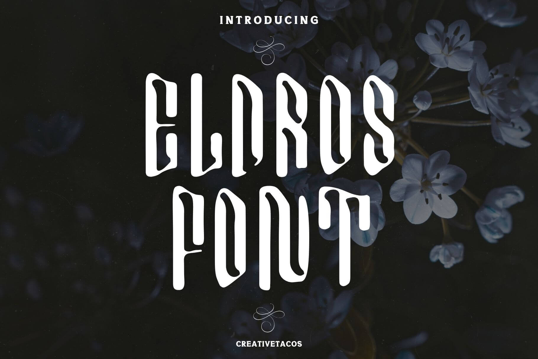 Eldros Font Modern Typeface