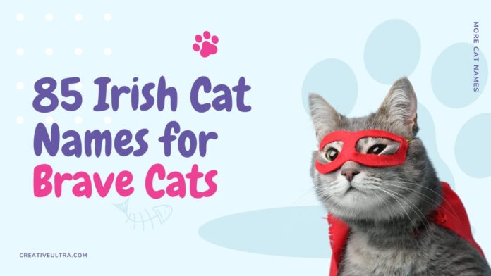 Cover image displaying '85 Irish Cat Names for Brave Cats' with an illustration of a brave cat inspired by Irish heritage.