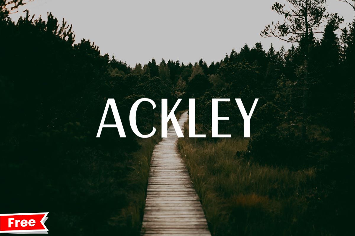 Ackley Sans Serif Font