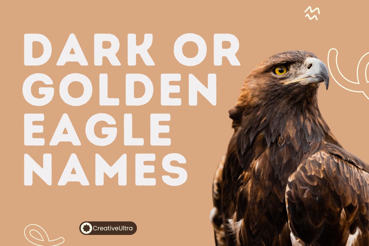 Dark or Golden Eagle Names