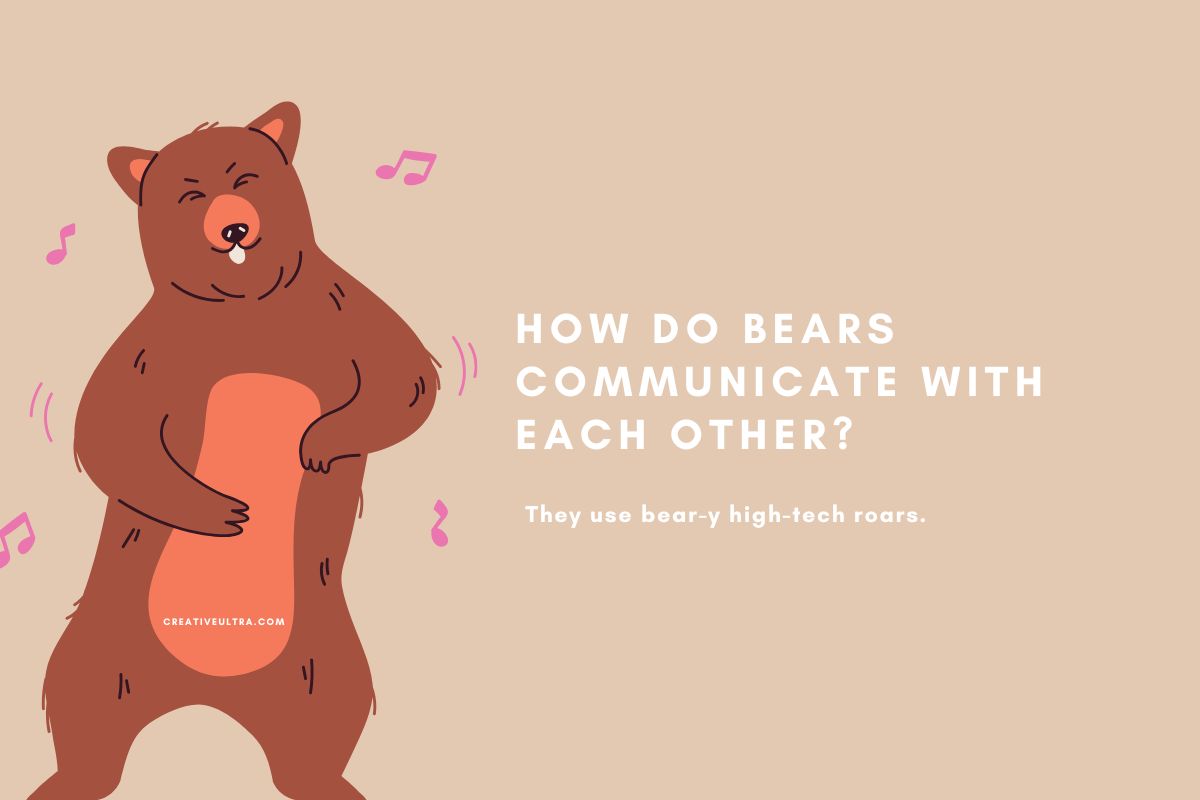 How do bears communicate with each other