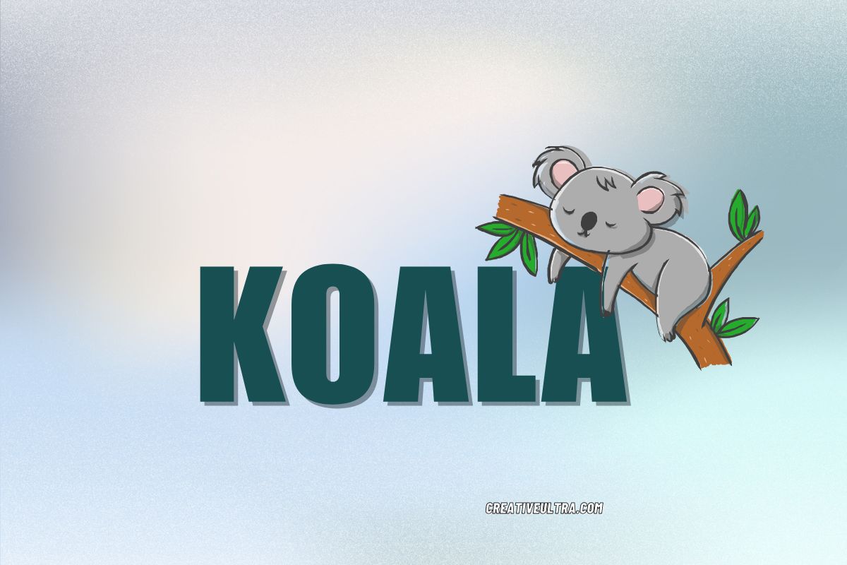 a koala sleeping on a tree branch - a funny nickname for a slow or late arriving friend.