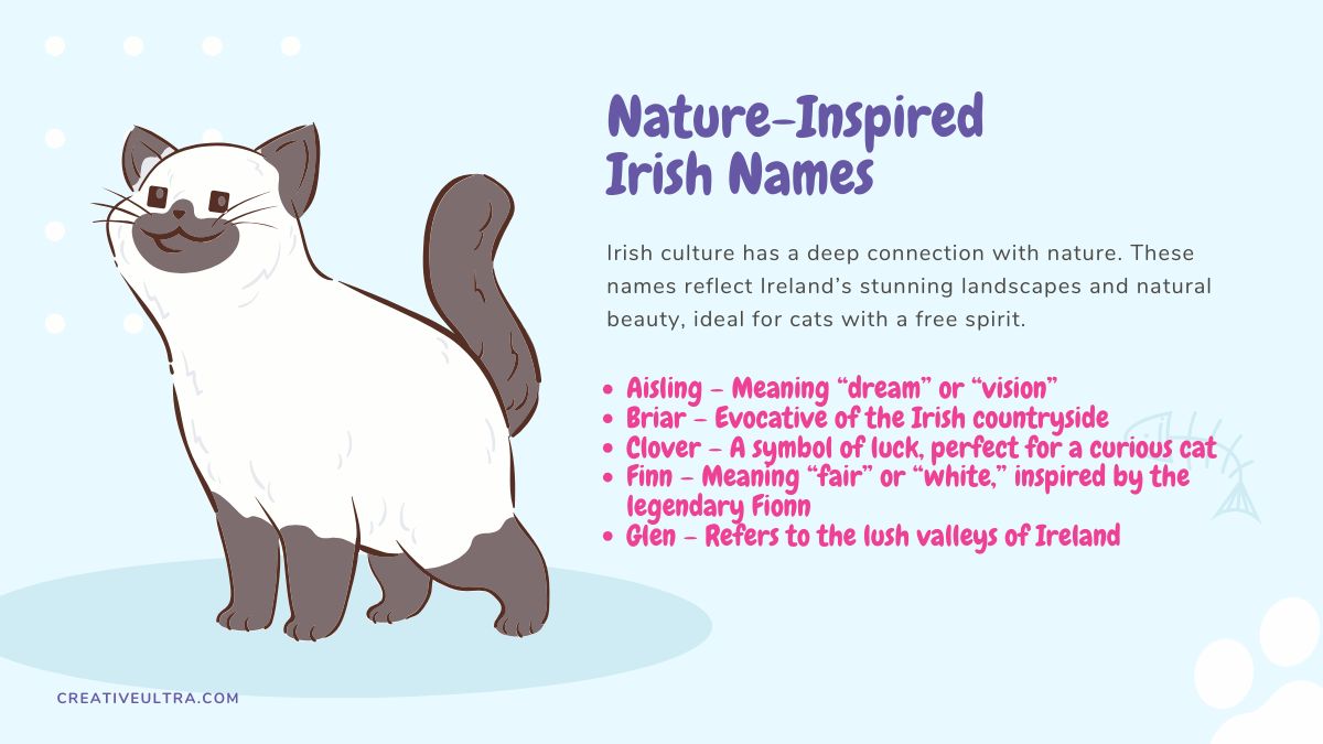 Visual featuring nature-inspired Irish names for cats, with imagery of Ireland’s landscapes like hills and forests.