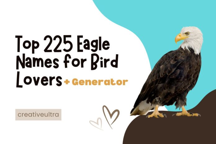 Top 225 Eagle Names for Bird Lovers