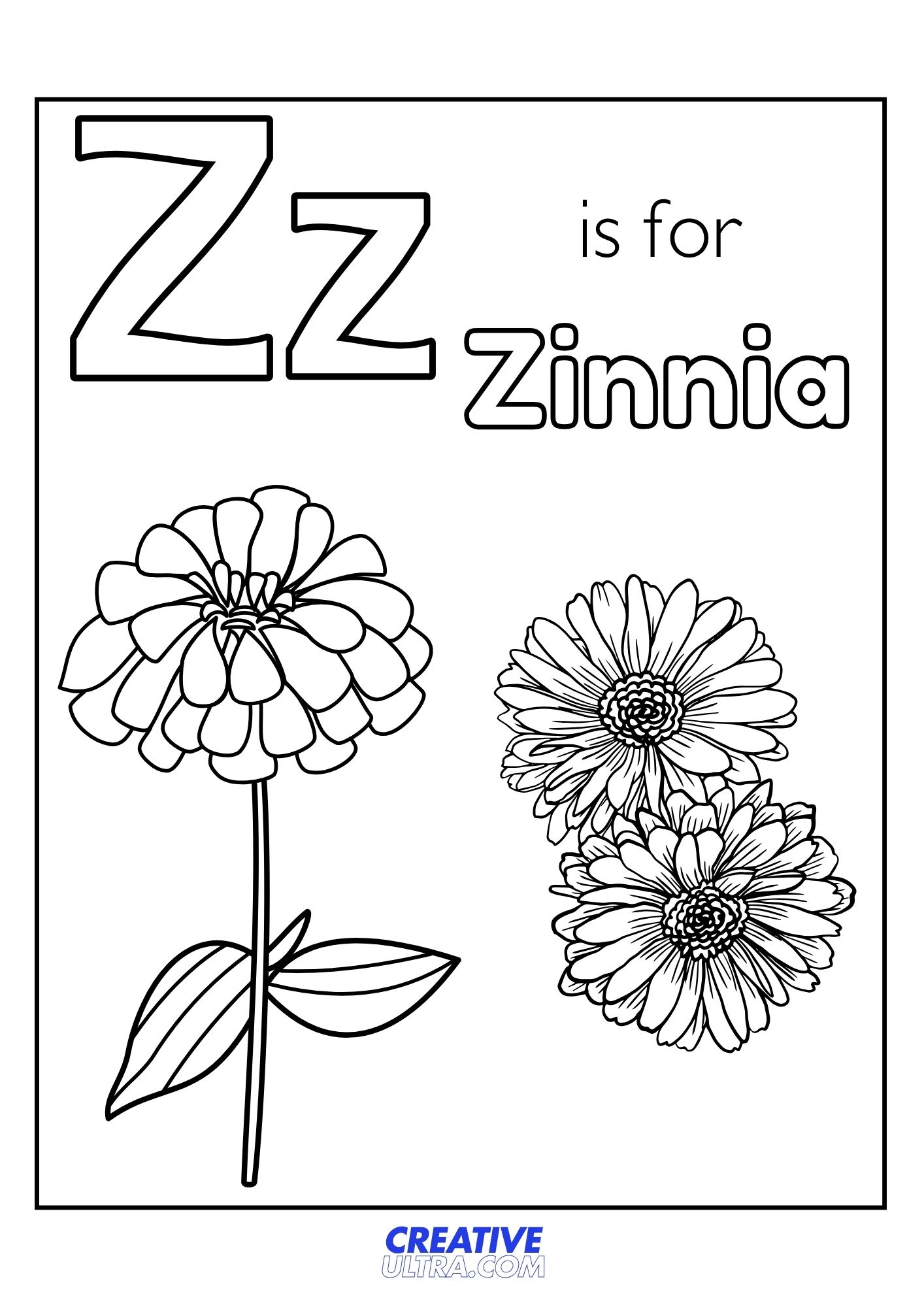 Zinnia Coloring Page