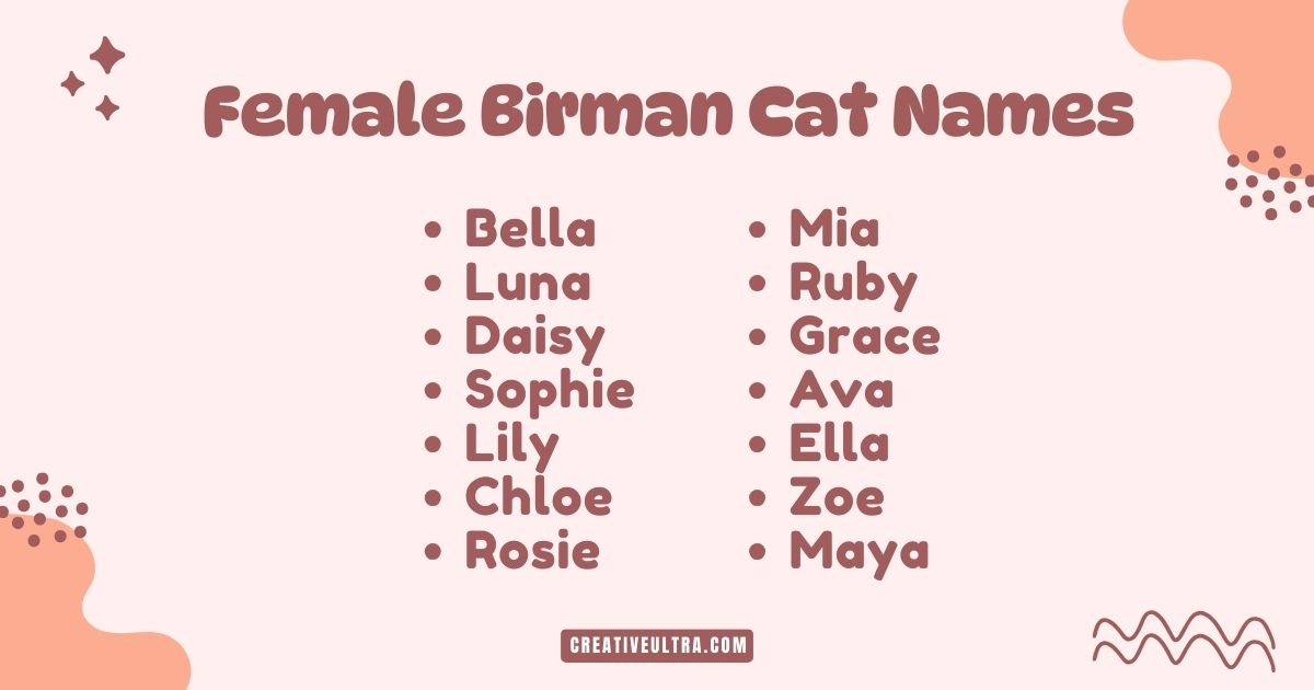 List of female Birman cat names in two columns on a pale pink background with abstract orange shapes: Bella, Luna, Daisy, Mia, Ruby, Grace, and more.