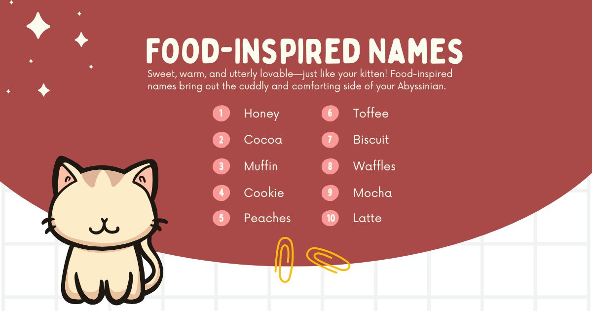 Illustration of a cute kitten with a list of food-inspired names like Honey and Cocoa on a red background. The tone is playful and warm.