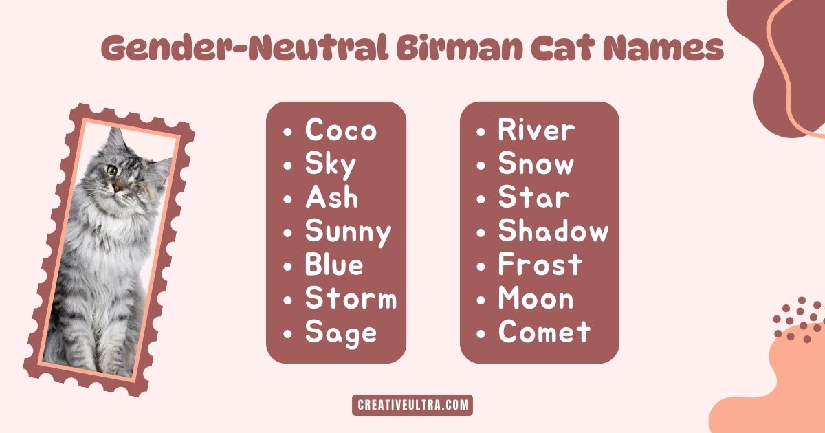 "Image shows a fluffy gray cat in a stamp-like frame next to a list of gender-neutral Birman cat names. Names include Coco, Sky, Ash, Sunny, Blue, Storm, Sage, River, Snow, Star, Shadow, Frost, Moon, and Comet. The background is soft pink with abstract shapes, conveying a playful and warm tone."