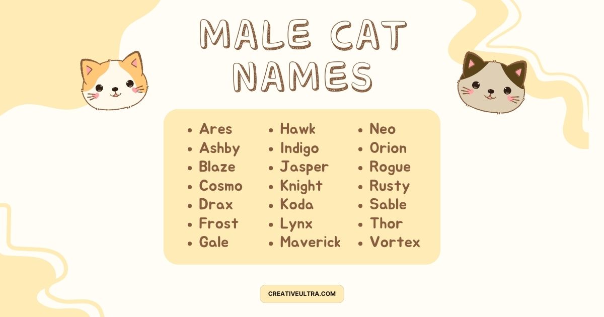 "Illustration of male cat names listed with playful cat faces in corners. Names include Ares, Jasper, Neo, and more. Light, cheerful tone."