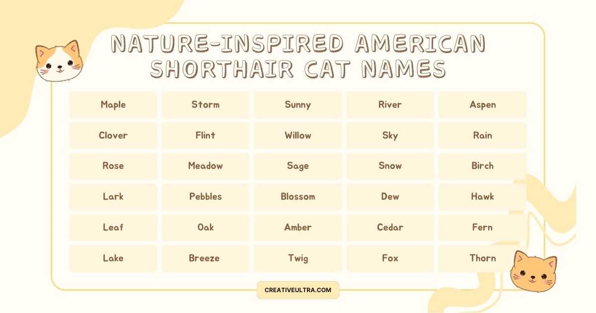 Chart of nature-inspired names for American Shorthair cats. Names include Maple, Storm, Sunny, River, Aspen, Clover, and more. Cute cat illustrations.