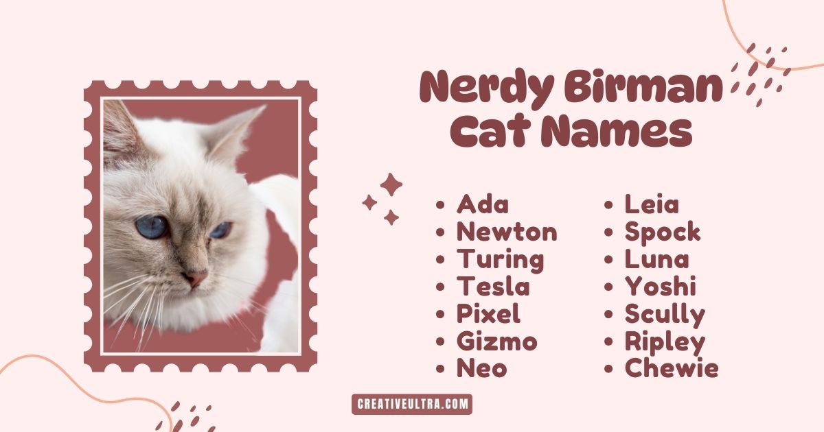 Close-up of a blue-eyed Birman cat with white fur framed like a stamp. Text reads "Nerdy Birman Cat Names" with names like Ada, Newton, and Leia.
