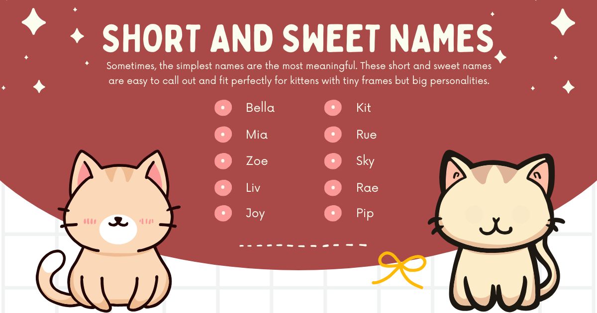 Cute kitten illustration with a red backdrop and stars. List of short kitten names: Bella, Mia, Zoe, Liv, Joy, Kit, Rue, Sky, Rae, Pip. Playful tone.
