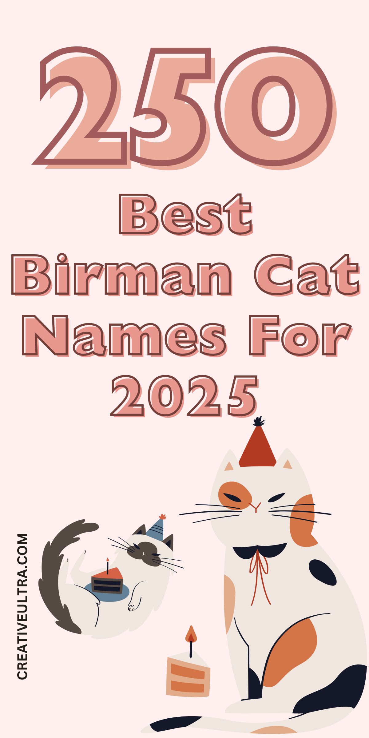 Illustrated poster with "250 Best Birman Cat Names For 2025." Features two playful cats with party hats and cake, evoking a festive and whimsical feel.