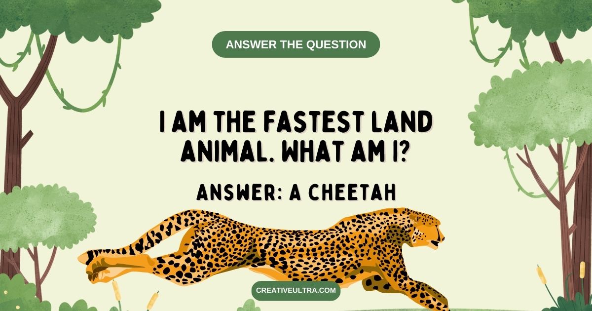 I am the fastest land animal. What am I? 
Answer: A cheetah