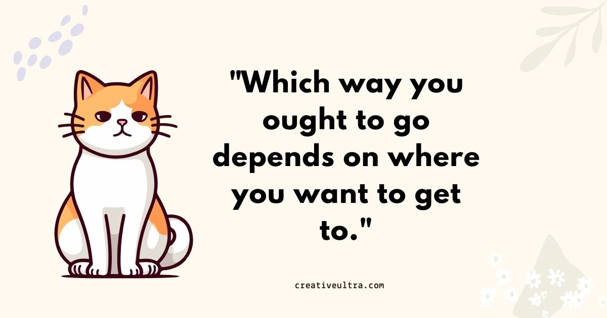 Illustration of an orange and white cat sitting beside a quote: "Which way you ought to go depends on where you want to get to." Neutral background.