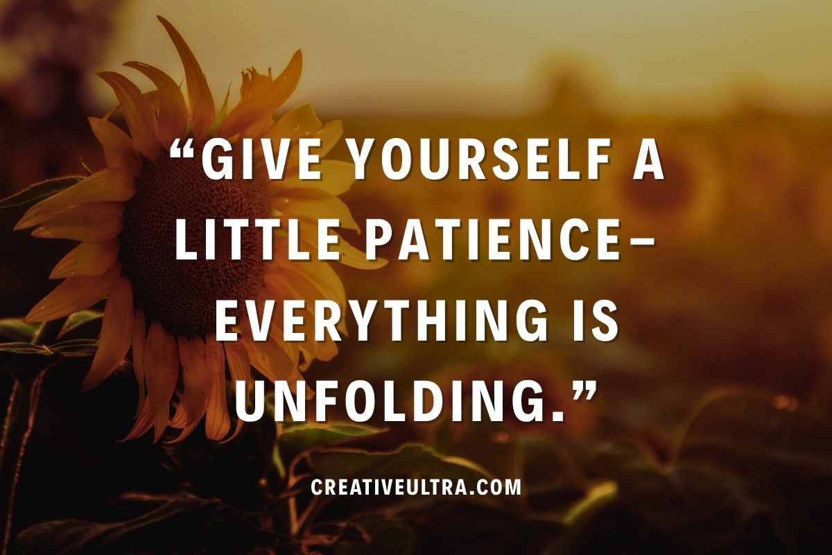 Sunflower at sunset with motivational quote: "Give yourself a little patience—everything is unfolding." Warm, encouraging tone.