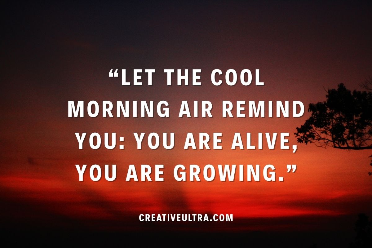 Sunset gradient sky in deep red and orange with silhouetted tree on the right. Text reads: "Let the cool morning air remind you: You are alive, you are growing."