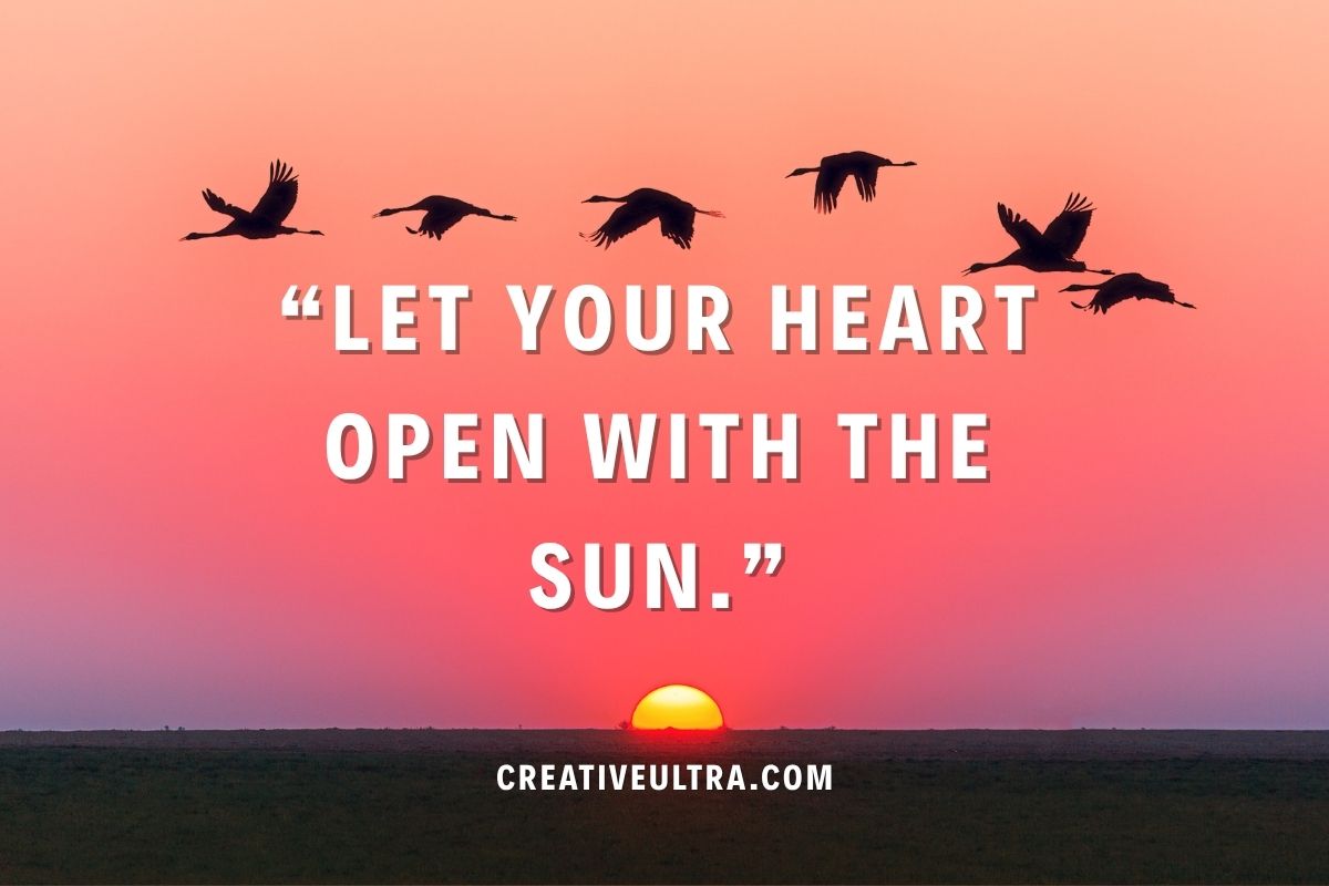 Silhouette of birds flying at sunrise with a pink sky. Text reads, "Let your heart open with the sun." The mood is serene and inspirational.