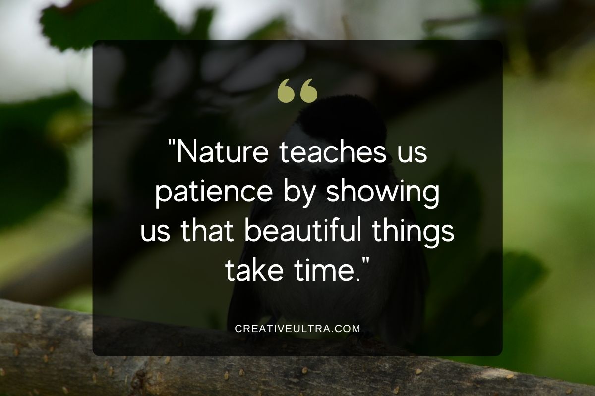 A quote about patience overlays a blurred image of a bird on a branch. Text reads: "Nature teaches us patience by showing us that beautiful things take time." Tone: Reflective, calming.