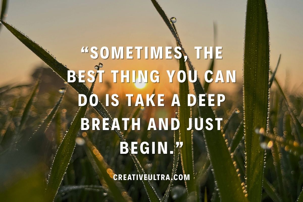 Morning sunlight shines through dew-covered grass, creating a serene backdrop for a motivational quote about beginning anew.