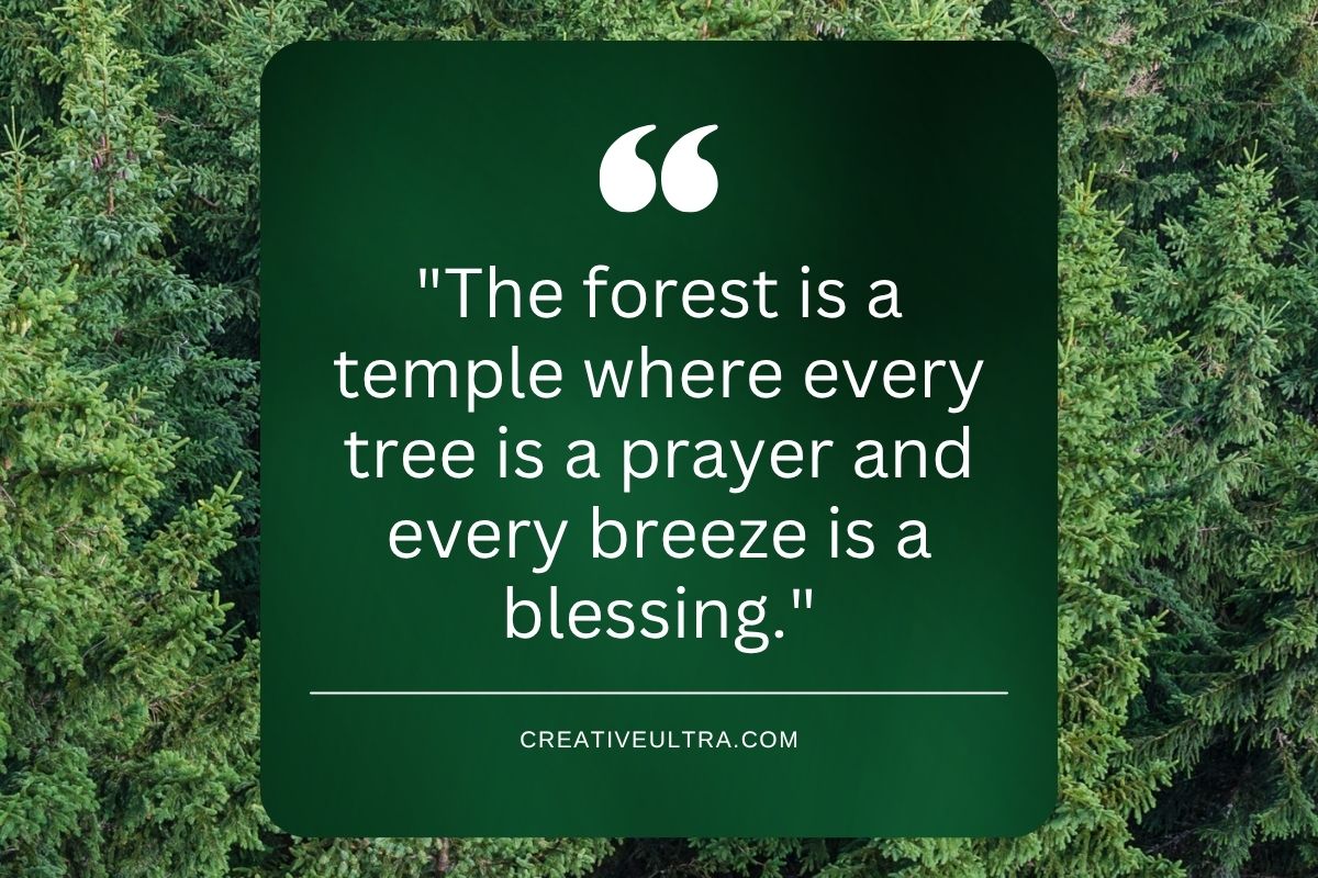 A quote reads, "The forest is a temple where every tree is a prayer and every breeze is a blessing," over a background of lush green trees. The tone is serene.