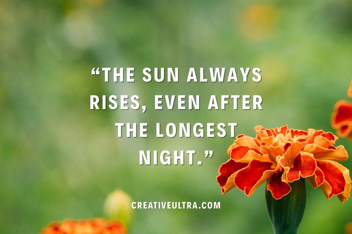 Orange marigold with blurred green background and a motivational quote: "The sun always rises, even after the longest night." Tone: hopeful.